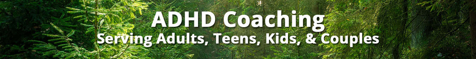 ADHD Coaching Serving Adults, Teens, Kids, & Couples