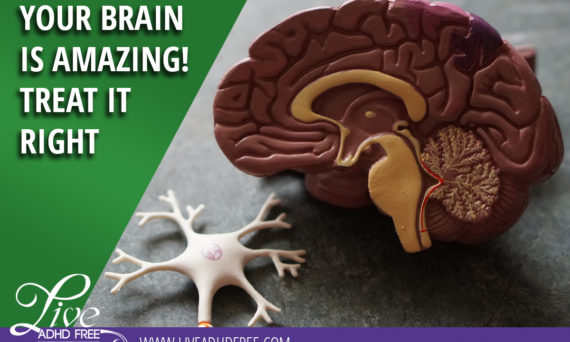 Your Brain Is Amazing! Treat it right